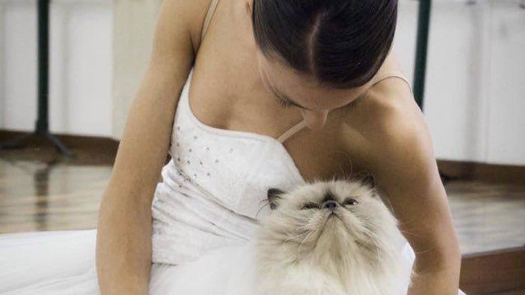marianna-zampieri-ballerina-gatto