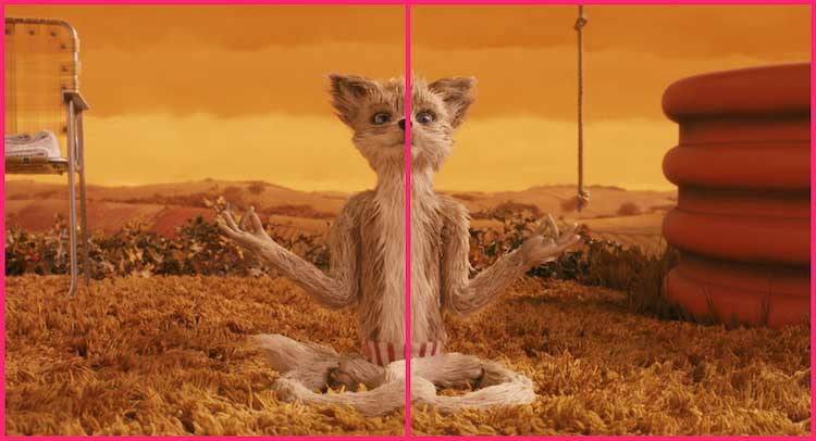 La composizione fotografica nel film: Il fantastico Mr Fox