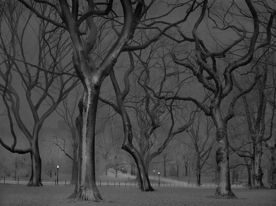 Foto di Michael Massaia a Central Park