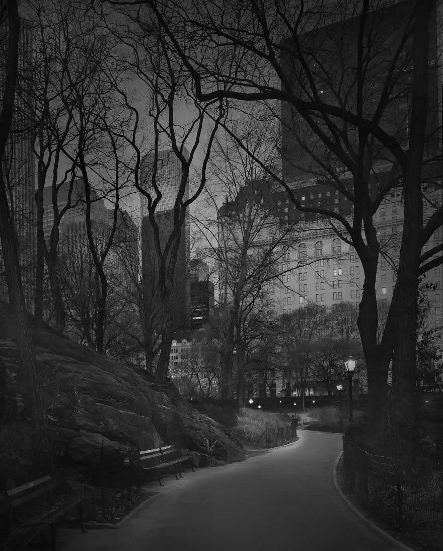 Fotografie di Michael Massaia a Central Park (4)