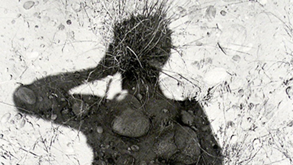 Gli autoscatti di Lee Friedlander
