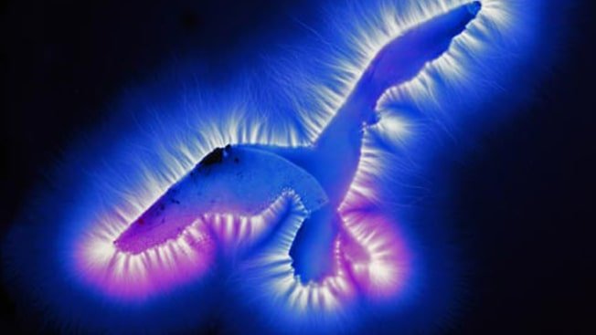 Foto kirlian