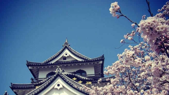 Le foto dell'Hanami 2017, la fioritura dei ciliegi in Giappone