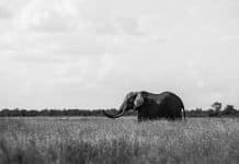 Frasi sulle fotografie in bianco e nero