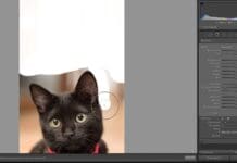 Come rimuovere sfondo su Lightroom