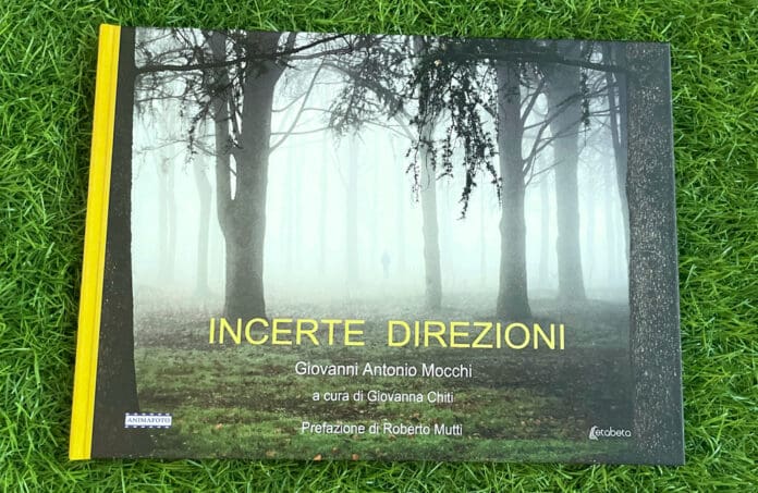 incerte-direzioni-libro