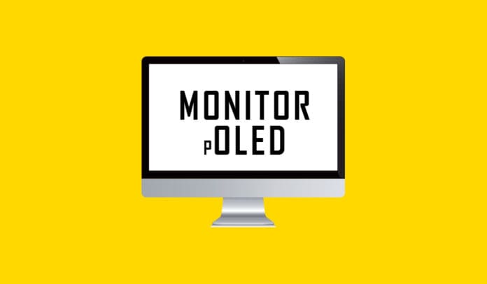 monitor-poled-display