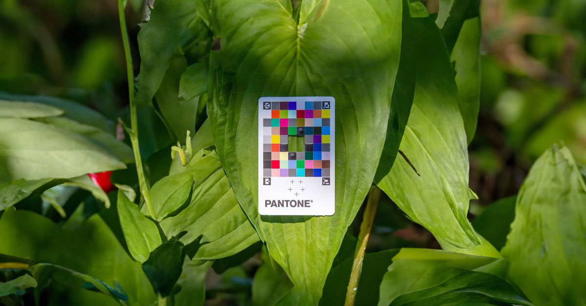 pantone-skintone-riconoscimento