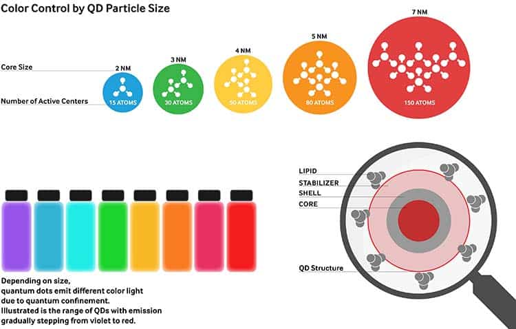 Cos'è un display Quantum Dot? - Fotografia Moderna